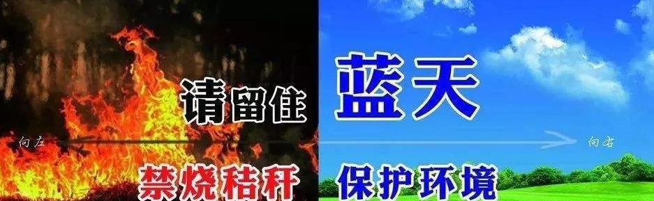 环保局_看图王.jpg