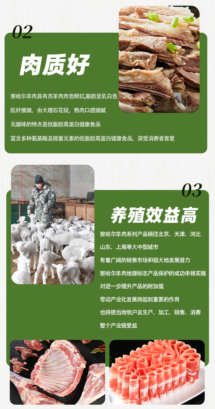闽北花猪1_04.jpg